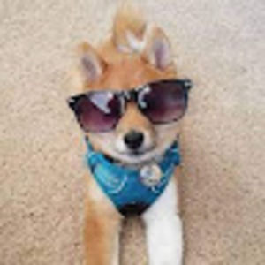 Meet your Posher, Sanvi